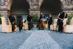 Koncert Akademie komorní hudby
