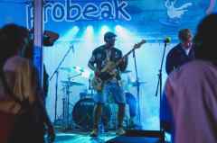 Probeak 2026