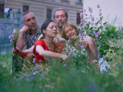 ProART Festival 2026 Olomouc