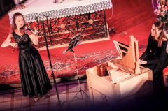 Koncert pro sólové smyčce