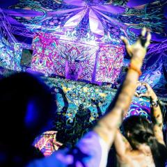 Digital Forest Festival 2026