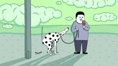 Anishort 2026
