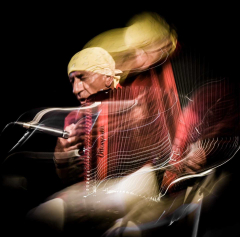 Antonello Salis & Simone Zanchini