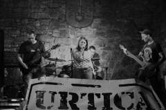 Múza 2025 – 5. postupové kolo